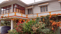 Saboath Homestay garden
